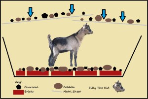 Schematic drawing of Billy in oven
